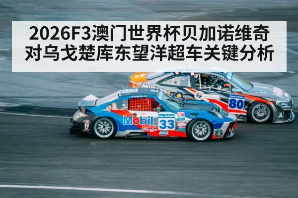macau guia circuit race cars