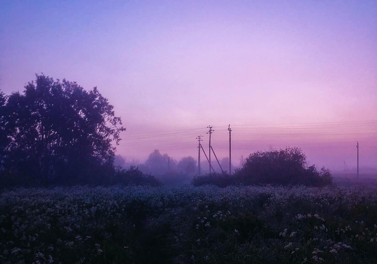 评论 | 染发与判负 规则与个性